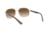 Sunglasses Ray-Ban RB 3593 (001/13)