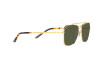 Sunglasses Ray-Ban New Caravan RB 3636 (919631)