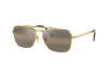 Солнцезащитные очки Ray-Ban New Caravan RB 3636 (9196G5)