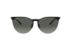 Occhiali da Sole Ray-Ban RB 3652 (901411)