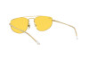 Occhiali da Sole Ray-Ban RB 3668 (001/Q1)