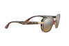 Sunglasses Ray-Ban Scuderia Ferrari Collection RB 3674M (F029A2)
