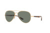 Sonnenbrille Ray-Ban RB 3675 (001/58)