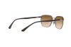 Lunettes de soleil Ray-Ban RB 3684 (014/51)