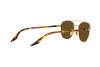 Occhiali da Sole Ray-Ban RB 3688 (001/AN)