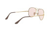 Sunglasses Ray-Ban Aviator metal ii Solid Evolve RB 3689 (001/T5)