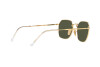 Sunglasses Ray-Ban Jim RB 3694 (001/31)