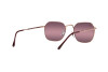 Occhiali da Sole Ray-Ban Jim RB 3694 (9202G9)