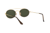 Occhiali da Sole Ray-Ban Oval Double Bridge RB 3847N (912131)