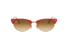 Солнцезащитные очки Ray-Ban Clubmaster oval RB 3946 (130851)