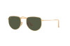 Sunglasses Ray-Ban Elon Legend Gold RB 3958 (919631)