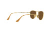 Sunglasses Ray-Ban Elon Legend Gold RB 3958 (919657)