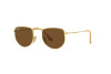 Солнцезащитные очки Ray-Ban Elon Legend Gold RB 3958 (919657)