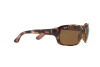 Occhiali da Sole Ray-Ban RB 4068 (642/57)