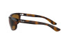 Sunglasses Ray-Ban Balorama RB 4089 (650833)