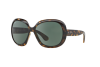 Sunglasses Ray-Ban Jackie Ohh II RB 4098 (710/71)