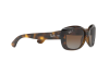 Lunettes de soleil Ray-Ban Jackie Ohh RB 4101 (710/T5)