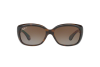 Солнцезащитные очки Ray-Ban Jackie Ohh RB 4101 (710/T5)