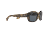 Sonnenbrille Ray-Ban Jackie Ohh RB 4101 (731/81)