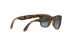 Sonnenbrille Ray-Ban Folding Wayfarer RB 4105 (894/3M)