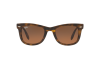 Sunglasses Ray-Ban Folding Wayfarer RB 4105 (894/43)