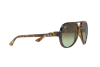 Lunettes de soleil Ray-Ban Cats 5000 Classic RB 4125 (710/A6)