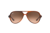 Occhiali da Sole Ray-Ban Cats 5000 Classic RB 4125 (820/A5)