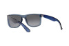 Sonnenbrille Ray-Ban Justin RB 4165 (6596T3)