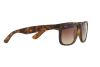 Occhiali da Sole Ray-Ban Justin RB 4165 (710/13)