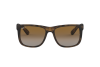 Солнцезащитные очки Ray-Ban Justin RB 4165 (865/T5)