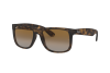 Солнцезащитные очки Ray-Ban Justin RB 4165 (865/T5)