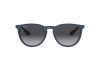Sunglasses Ray-Ban Erika Color Mix RB 4171 (60028G)