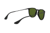 Sunglasses Ray-Ban Erika RB 4171 (601/2P)