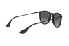 Sunglasses Ray-Ban Erika RB 4171 (622/8G)