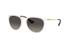 Sonnenbrille Ray-Ban Erika Color Mix RB 4171 (631411)