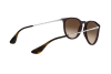 Occhiali da Sole Ray-Ban Erika RB 4171 (631513)