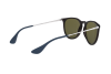 Sunglasses Ray-Ban Erika Color Mix RB 4171 (631855)