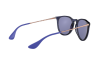 Occhiali da Sole Ray-Ban Erika RB 4171 (6338D1)