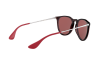 Occhiali da Sole Ray-Ban Erika RB 4171 (6339D0)