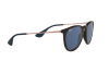 Occhiali da Sole Ray-Ban Erika RB 4171 (639080)