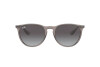 Солнцезащитные очки Ray-Ban Erika Color Mix RB 4171 (65138G)