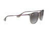 Sonnenbrille Ray-Ban Erika Color Mix RB 4171 (65138G)