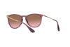 Sunglasses Ray-Ban Erika RB 4171 (659114)