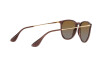 Sunglasses Ray-Ban Erika RB 4171 (6593T5)