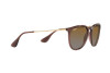 Sunglasses Ray-Ban Erika RB 4171 (6593T5)