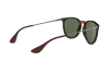 Sunglasses Ray-Ban Erika RB 4171 (710/71)