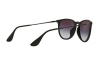 Occhiali da Sole Ray-Ban Erika (f) RB 4171F (622/8G)