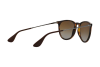 Солнцезащитные очки Ray-Ban Erika (f) RB 4171F (710/T5)