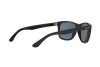 Sunglasses Ray-Ban RB 4181 (601/9A)