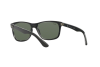 Sunglasses Ray-Ban RB 4181 (6130)